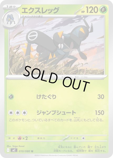 画像1: エクスレッグ/U【草】［M2］《010/080》 (1)