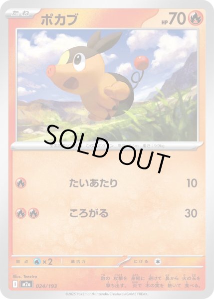 画像1: ポカブ/-【炎】［M2a］《024/193》 (1)