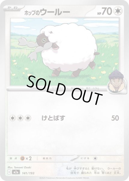 画像1: ホップのウールー/-【無】［M2a］《141/193》 (1)