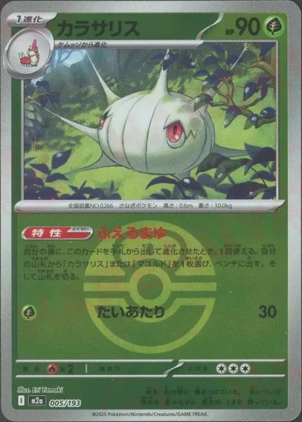 画像1: カラサリス/ボールミラー【草】［M2a］《005/193》 (1)