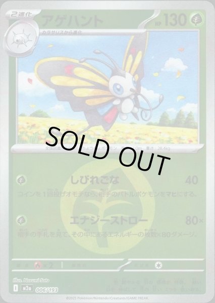 画像1: アゲハント/エネルギーミラー【草】［M2a］《006/193》 (1)