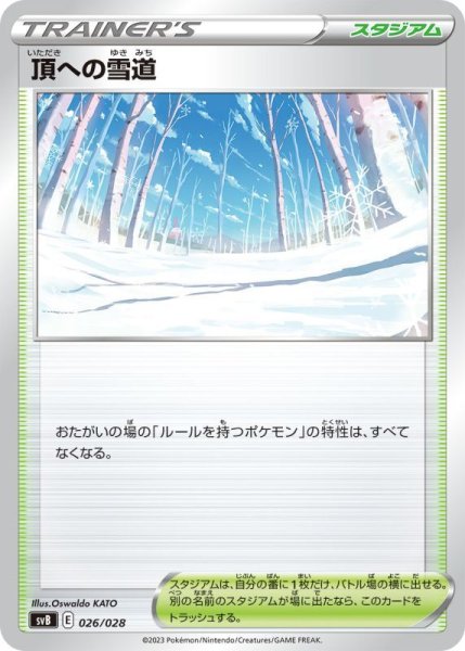画像1: 頂への雪道/‐【スタジアム】［svb］《026/028》 (1)